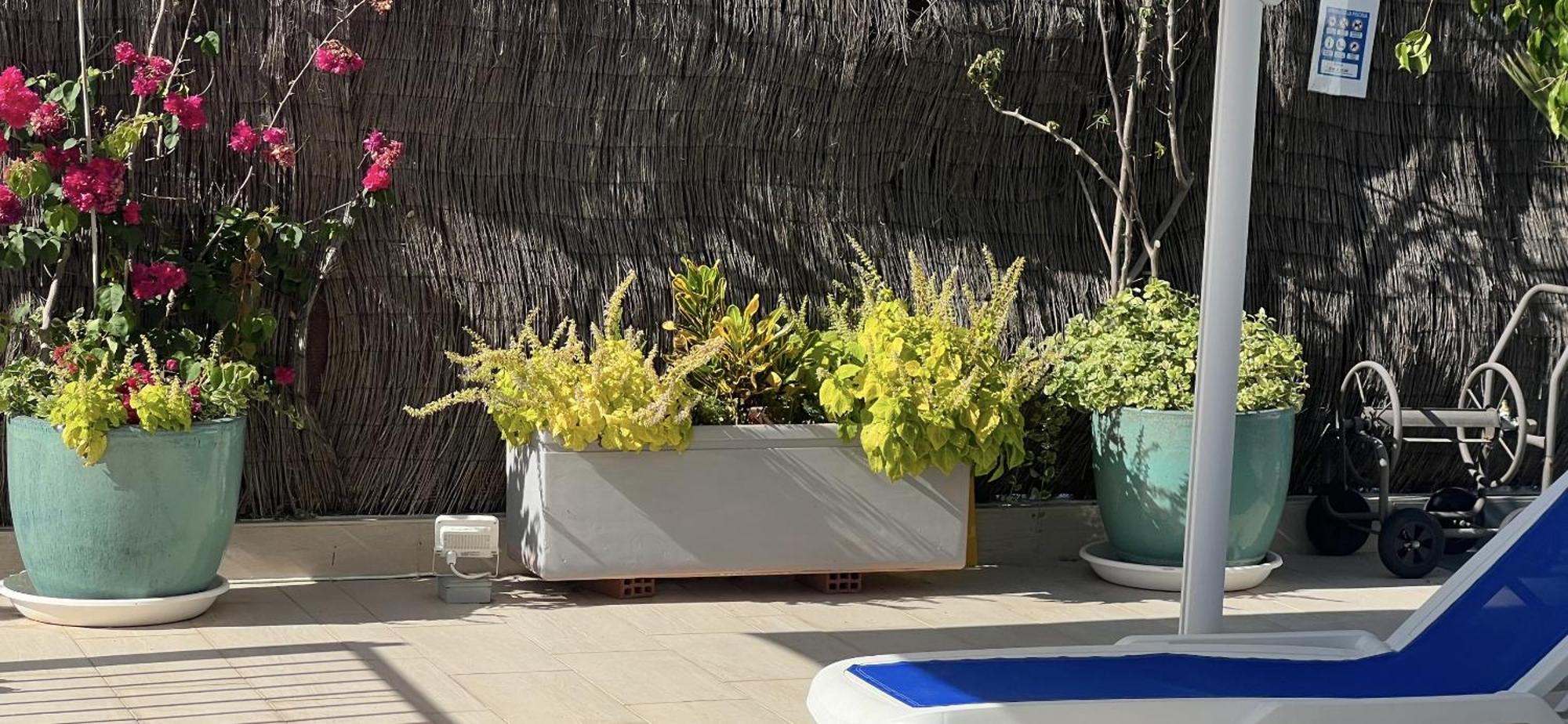 Ancla Real Apartamentos Loft El Puerto de Santa Maria Luaran gambar
