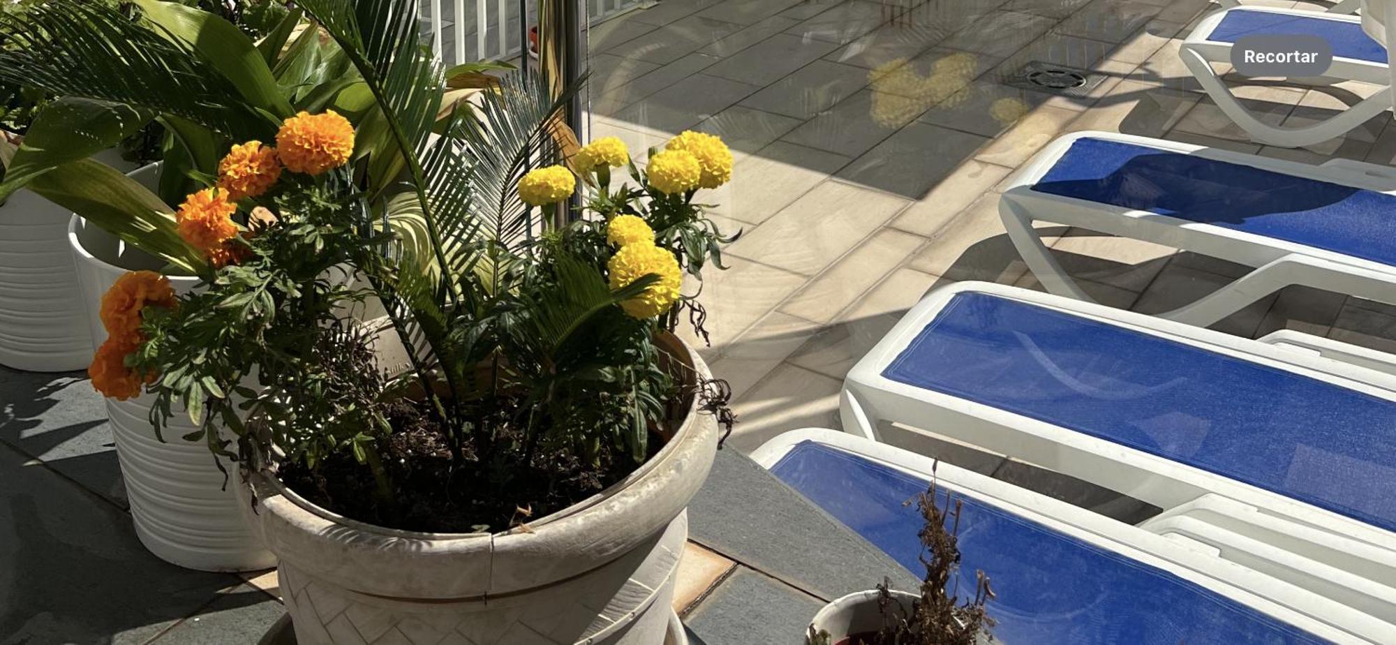 Ancla Real Apartamentos Loft El Puerto de Santa Maria Luaran gambar