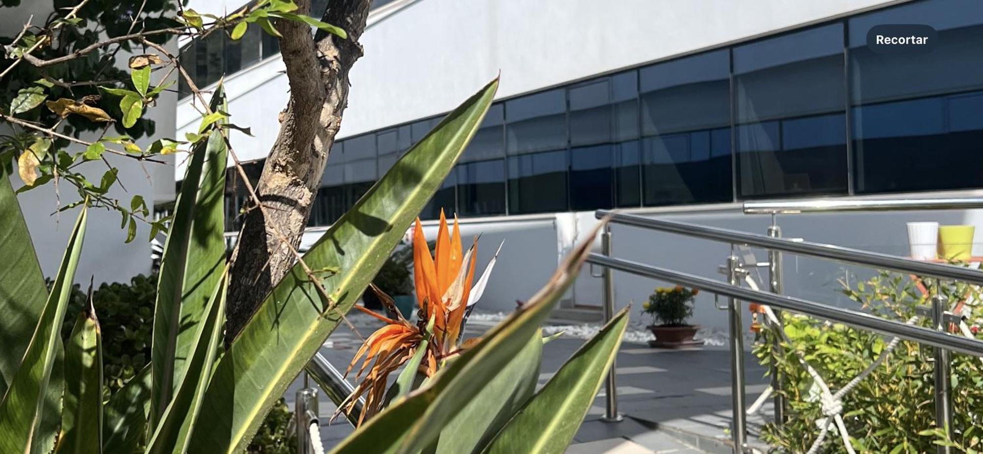 Ancla Real Apartamentos Loft El Puerto de Santa Maria Luaran gambar